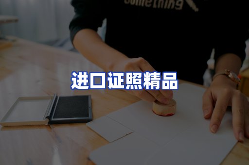 进口证件页面制证